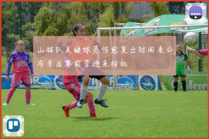山猫队关键球员伤愈复出时间表公布季后赛前景迎来转机