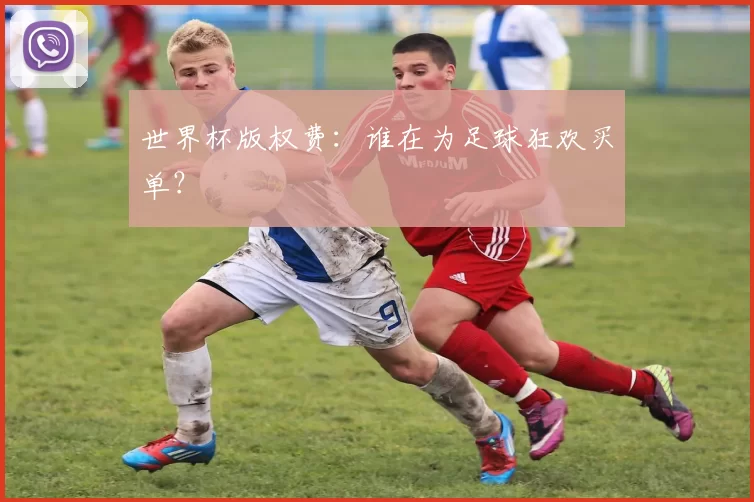 世界杯版权费:谁在为足球狂欢买单?