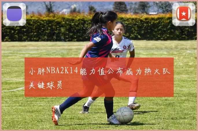 小胖NBA2K14能力值公布成为热火队关键球员