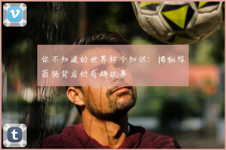 你不知道的世界杯冷知识:揭秘绿茵场背后的有趣故事