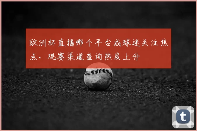 欧洲杯直播哪个平台成球迷关注焦点,观赛渠道查询热度上升